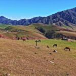 Free Download Video Bokeh, Highland, Mountains, Mountain, Steppe, Plain