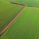 Free Drone Stock Videos Videos, Plant, Grass, Farmer, Leaf, Spring