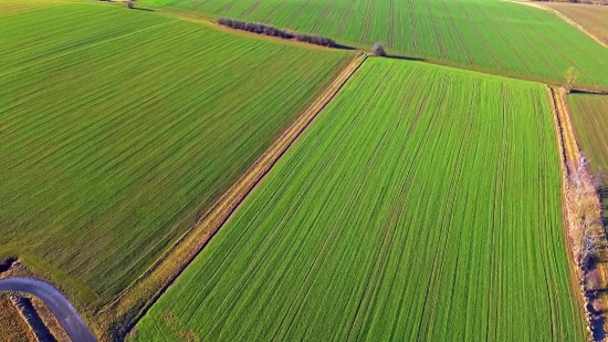 Free Drone Stock Videos Videos, Plant, Grass, Farmer, Leaf, Spring