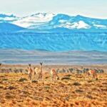 Free Easyworship Motion Background, Desert, Sand, Tract, Landscape, Sky