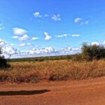 Free Fire Green Screen Video Download, Landscape, Field, Sky, Tree, Rural