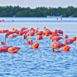 Free Footage For Video Editing Practice, Bathing Cap, Beach, Cap, Sea, Water