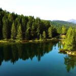 Free Footage Video, Lake, Tree, Reflection, Landscape, Forest