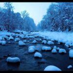 Free Motion Video Background Loops, Snow, Landscape, Water, River, Tree