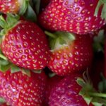 Free Mp4 Stock Footage, Strawberry, Berry, Fruit, Edible Fruit, Strawberries