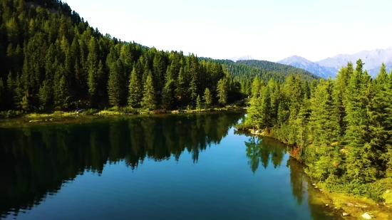 Free Presentation Backgrounds, Lake, Reflection, Tree, Landscape, Forest