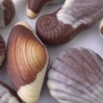 Free Stack Videos, Bivalve, Mollusk, Invertebrate, Shell, Ark Shell