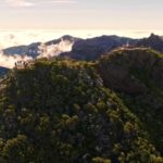 Free Stock Drone Footage, Gorse, Shrub, Mountain, Landscape, Woody Plant