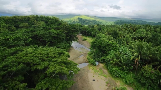 Free Stock Movie Footage, Tree, Landscape, Forest, Sky, Mountain