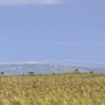 Free Stock Photos For Commercial Use, Steppe, Plain, Land, Landscape, Field