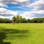 Free Stock Videos Pixabay, Grass, Field, Sky, Landscape, Meadow