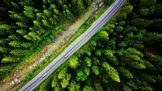 Free Video Background Footage, Railing, Road, Transportation, Travel, Highway