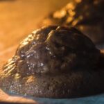 Free Video Footage For Editing Practice, Invertebrate, Mollusk, Gastropod, Food, Bivalve