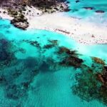 Free Video Loops Backgrounds, Beach, Coral Reef, Ocean, Reef, Sea