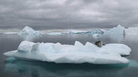 God Graphics Video Background Hd, Iceberg, Snow, Ice, Mountain, Landscape