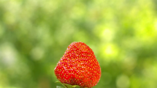 Green Screen Footage Free Download, Berry, Strawberry, Fruit, Edible Fruit, Food