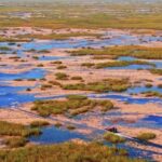 Gun Shot Stock Footage, Swamp, Water, Land, Wetland, River