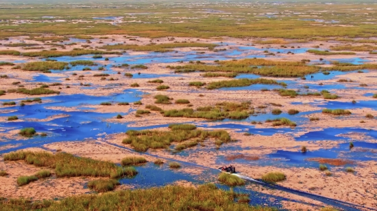 Gun Shot Stock Footage, Swamp, Water, Land, Wetland, River