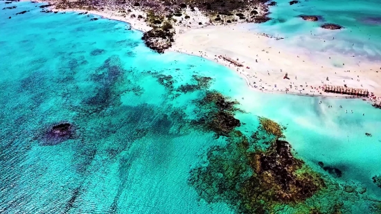 Hd Loops, Beach, Ocean, Sea, Water, Coast