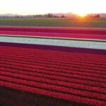 Horror Stock Footage, Texture, Pattern, Sky, Asphalt, Material