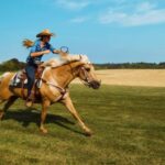 Ink In Water Stock Footage, Horse, Animal, Horses, Riding, Stallion