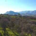 Intro Youtube Keren No Copyright, Range, Mountain, Landscape, Mountains, Tree