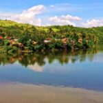 Kolkata Stock Footage, Lake, Landscape, Water, Forest, River