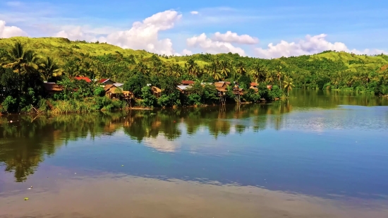 Kolkata Stock Footage, Lake, Landscape, Water, Forest, River