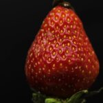 Long Nature Videos No Copyright, Berry, Strawberry, Fruit, Edible Fruit, Produce