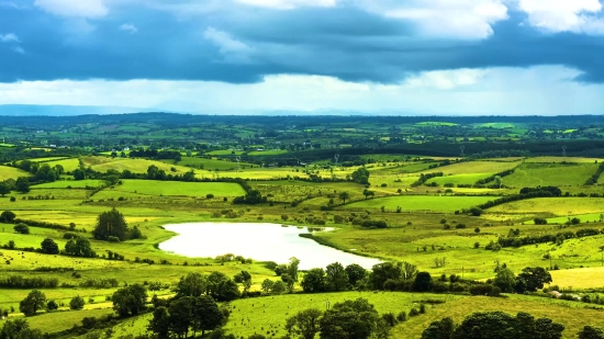 Motion Backgrounds For Propresenter, Rapeseed, Landscape, Oilseed, Rural, Field