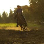 Nature Free Footage, Horse, Cowboy, Animal, Vaulting Horse, Sport