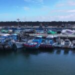 News Background Video Template Free Download, Marina, Waterfront, Boat, Sea, Harbor