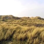 No Copyright Status Video Download, Landscape, Field, Sky, Grass, Highland