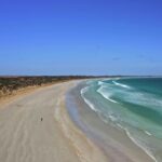 Octopus Stock Footage, Beach, Sand, Sandbar, Sea, Bar