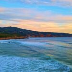 Owl Stock Footage, Beach, Ocean, Sea, Coast, Water