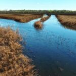 Particle Free Footage, Lake, Landscape, Water, River, Channel