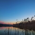 Pond5 Free Footage, Lake, Sky, Water, Swamp, Landscape