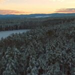 Poran Movie Download, Snow, Winter, Tree, Forest, Landscape