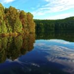 Public Domain Video Clips, Forest, Lake, Landscape, River, Water