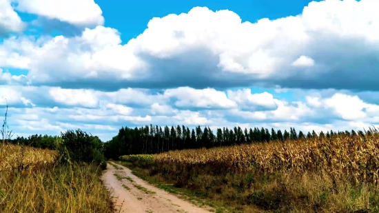 Rain Free Video Footage, Sky, Atmosphere, Landscape, Rural, Field