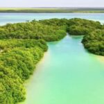 Rainy Background Hamzavfx Download, Landscape, Water, River, Tree, Summer