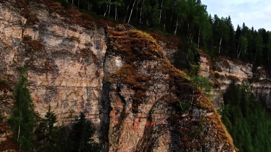 Raw Clip, Tree, Landscape, Rock, Park, Stone