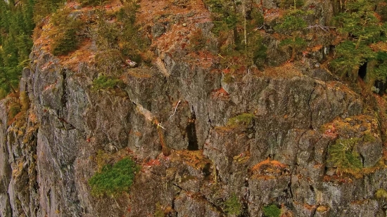 Raw Footage Free, Tree, Woody Plant, Canyon, Landscape, Mountain