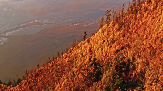 Reddit Stock Video, Mountain, Landscape, Sky, Tree, Mountains