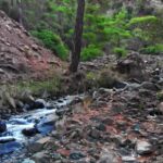 Romantic Background Video Download, River, Forest, Mountain, Landscape, Water