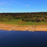 Rose Flower Video Download, Sky, Landscape, Grass, Field, Rural