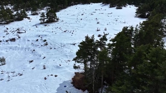 Sad Video Free, Snow, Winter, Tree, Landscape, Ice