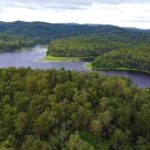 Savage Stock Footage, Tree, Landscape, Water, Lake, Forest