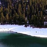 Sea Beach Video Free Download, Snow, Forest, Tree, Winter, Landscape