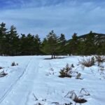 Sky Template Video Download, Snow, Winter, Slope, Mountain, Cold